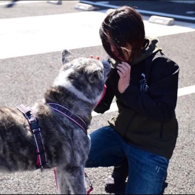 TEAM🐾AKITA 秋田犬レスキュー ブログ随時更新！ marvelous協賛譲渡会2ヶ月置きに開催 JDBAレスキューTEAM 国際アニマルプロフェッショナル協会正会員 日本ドックビヘイビアリスト協会所属 JDBA-DT