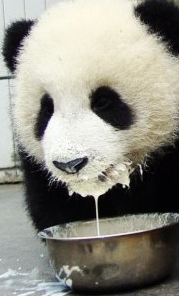 eatquestnyc's profile picture. What to eat and where to eat it. #instagram: @eatquestnyc #outragedandengaged