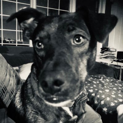 CronaxTV's profile picture. I like videogames