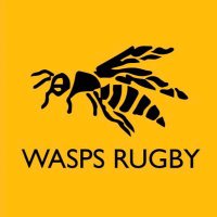 Winnipeg Wasps Rugby(@winnipegwasps) 's Twitter Profile Photo