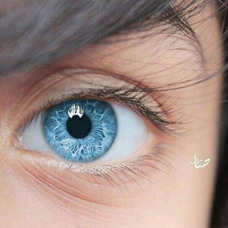 Kh7333's profile picture. الحمدلله ..
مصممة سوشيال ميديا محترفة
خبرة 5 سنين والحمدلله