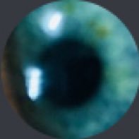 daoscar75's profile picture. non bio