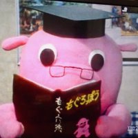 日々一所懸命生きる (@e1bkla6llpidhir) 's Twitter Profile