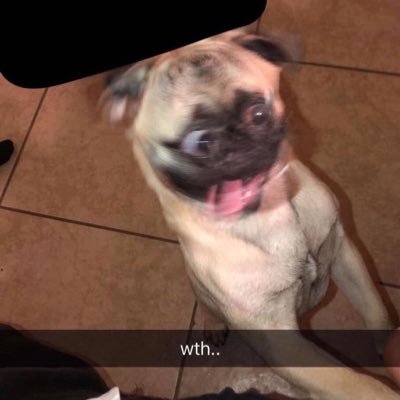 itsstJ0's profile picture. 🔮