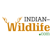 Indian Wildlife Profile