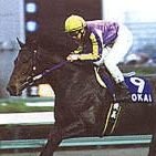 1990年代の競馬ブームの頃からの競馬好きです。平地も障害も大好きです。かつては横山義行さん、穂苅寿彦さんを応援してましたが、近年は横山琉人騎手、金子光希騎手を応援しています。🐴ジュピテリアン♥オンワードメテオ♥️タイキサファリ♥フリルアンキュート🐴 LOVE 新潟競馬場♞♘