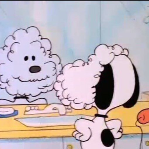 bbang6_6's profile picture. 