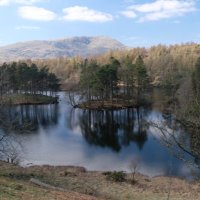 AlanWalker (@alanwal39195430) 's Twitter Profile