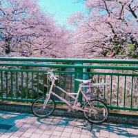 chie yamazaki (@chieymzk) 's Twitter Profile