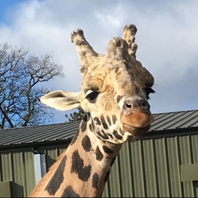 SamBish85821134's profile picture. Headteacher - trying my best!