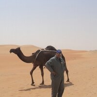 Harry Jamshidian (@desert_son) 's Twitter Profile