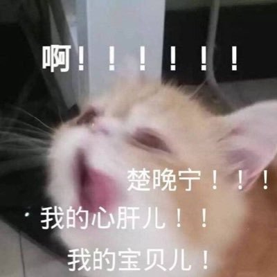 .さんのプロフィール画像