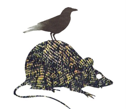 Scavenger Network