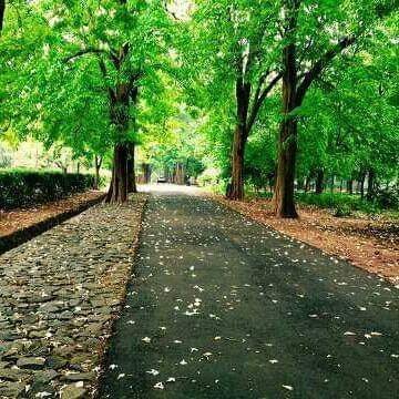 Amudha29111996's profile picture. Mathematics