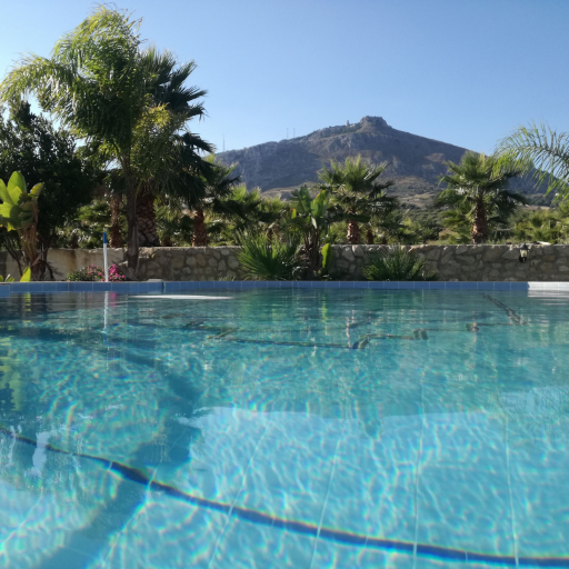 PalmeVilla's profile picture. 