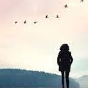 DailyTh04841896's profile picture. I’ll just be sharing some of my random thoughts with this page, thoughts I maybe would not share aloud, or ones that I just think of and need to share
🌹🍀🌷🍀