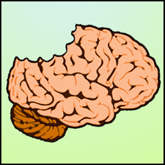 mozgest's profile picture. я мыслю, следовательно мозг