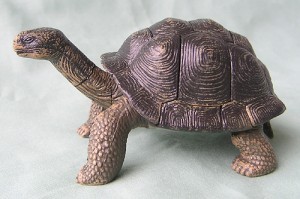 Pavlovs Tortoise