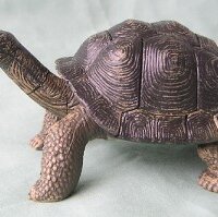 Pavlovs Tortoise(@PavlovsTortoise) 's Twitter Profileg