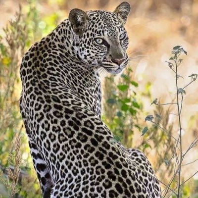 LamainForte's profile picture. Mon travail