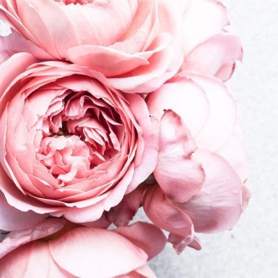 BeauBernice's profile picture. 