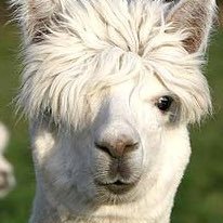 wTiEgtoo4LBQM5n's profile picture. 石の上に3年は嘘