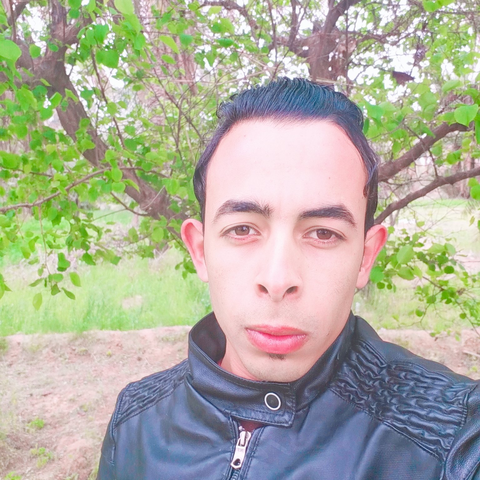 hamza_zeroui's profile picture. 