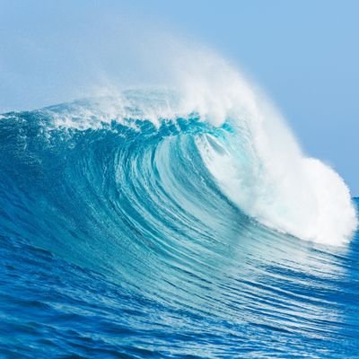 Novan_preveen's profile picture. 