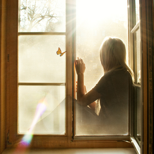 Dailyemotion's profile picture. 