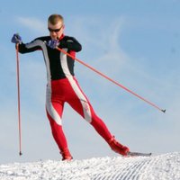 Fergus Bisset (@fergusbisset) 's Twitter Profile