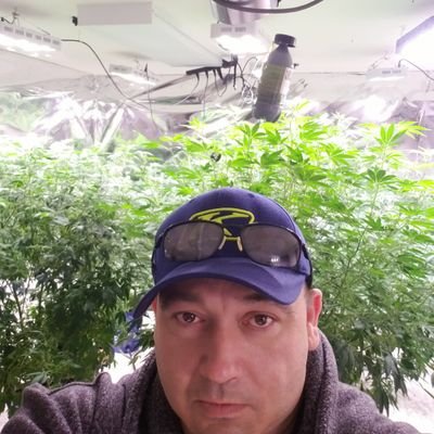Stoneycreekwct's profile picture. legal cannabis grower