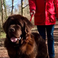 Catie paton (@paton_catie) 's Twitter Profile