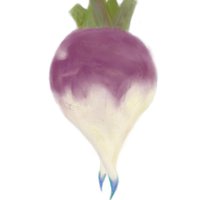 Turniper (@venemousturnip) 's Twitter Profile