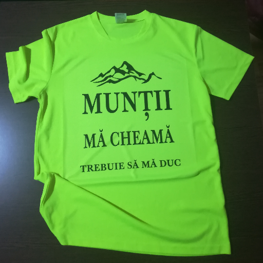 Imprimam tricouri cu text, forme si poze. Unicate sau serii de mii de bucati, nimic nu ne sperie.
Serigrafie, broderie, transfer termic.