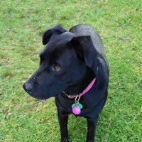 mcmerrylnz (@mcmerrylnz) 's Twitter Profile