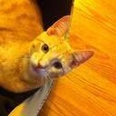 John Gott - @GCatProduction - Twitter