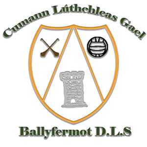 Official Ballyfermot DLS GAA Twitter Account.