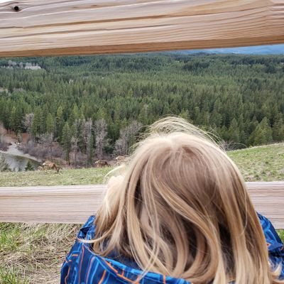 Rachael13Newton's profile picture. 