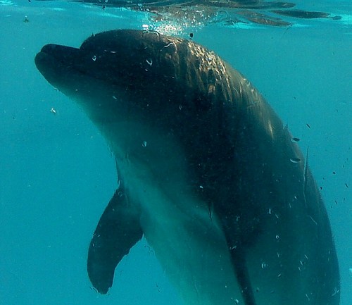 ka_zu__zu's profile picture. 読書が好きな育児パパです。色々といいものを探していきますね！