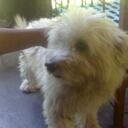 aaron kyle c. delage - @arondelagente - Twitter