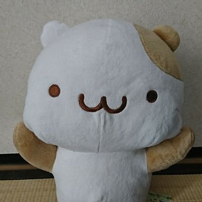 ぬこざき→7/5.6アコスタ、13スタジオさんのプロフィール画像