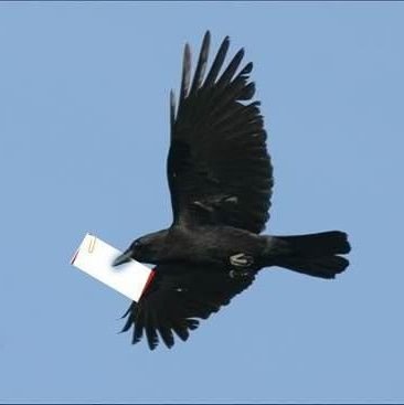 1kcSTVvYGhLrxX4's profile picture. 