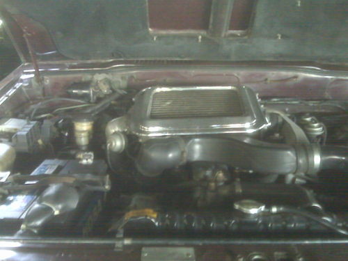 nicy_tapia's profile picture. 