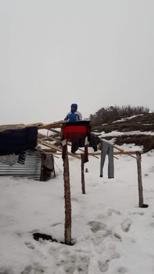 Shankar16232622's profile picture. मुटुभरी गरिबीको चोट देखेपछि💔
भाग्यकर्म दुबैतिर खोट देखेपछी😉
माया त छिन भरमै लिलाम हुदो रैछ😑😑
 ठुला ठुला महल अनि नोट देखेपछी✌✌