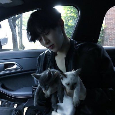 beepbeepboopiez's profile picture. 