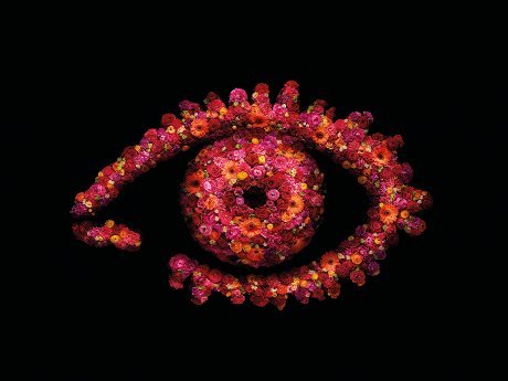 BigBrotherCrazy's profile picture. 