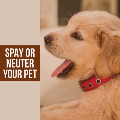 spay or neuter your pet Learn more: