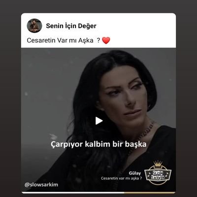 alnylisikici's profile picture. Tek erkeğim çift ve yalnız bayanlar alanya