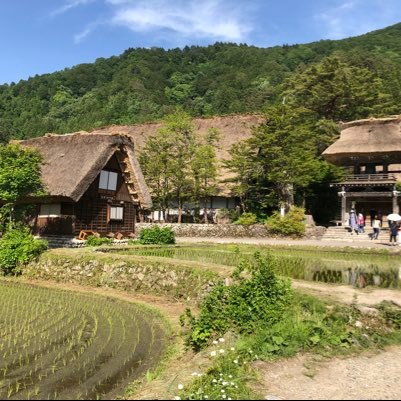 masa190414's profile picture. 目指せ、Billionaire!