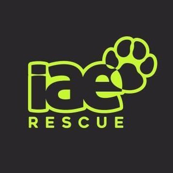 Asociación de voluntariado. Perros de rescate en catástrofes y terapia Alzheimer y discapacidad. Emergencias, cooperación, acción humanitaria y social